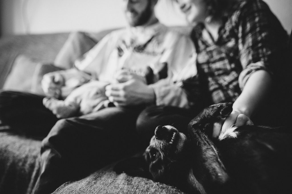 Neugeborenenfotos Berlin Familienreportage Berlin-Wedding: Hund liegt auf Couch. Im Hintergrund: Paar mit Baby
